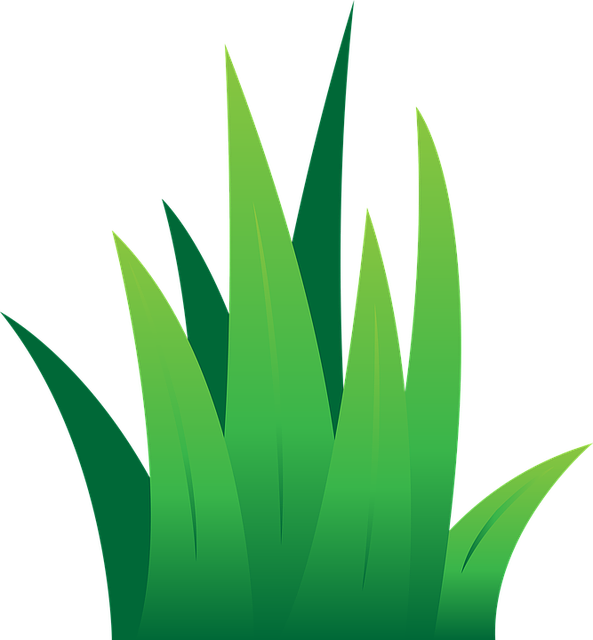 Fű